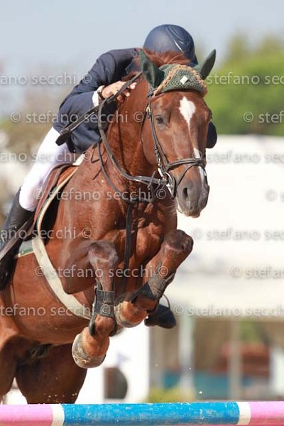 LEGNANI_ODEON_GIO CAV 2011_SS3_6647.jpg